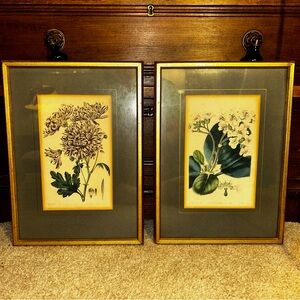 Vintage Pair of Botanical Matted Prints in Antique Frames with Gold Gilt Signed